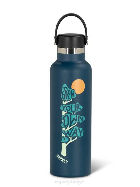 üniseks çivit mavisi Osprey hidrofor | kendi tarzınla büyüt şişe-21 oz markalı ürünler 20VZ653