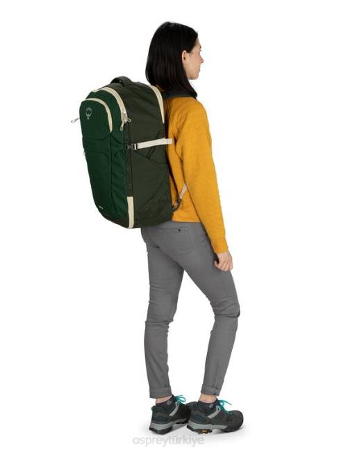 üniseks palmiye yaprağı baskısı Osprey daylite el bagajı seyahat paketi 44 seyahat 20VZ578