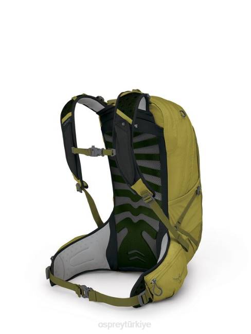 üniseks tundra yeşili Osprey Talon Earth 22 sınırlı sayıda | günlük yürüyüş | çoklu spor 20VZ319
