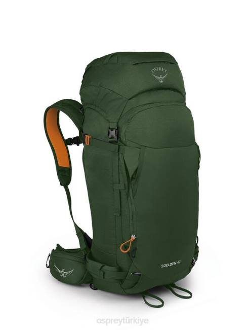 üniseks toz yosunu yeşili Osprey soelden 42 dağlık bölgede kayak/snowboard | hafif gezi 20VZ450