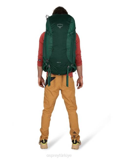 erkekler akso yeşili Osprey volt 45 sırt çantasıyla seyahat 20VZ37