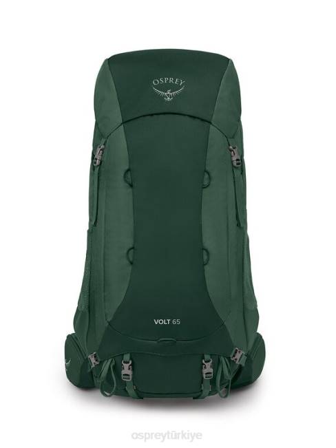 erkekler akso yeşili Osprey volt 65 sırt çantasıyla seyahat 20VZ40