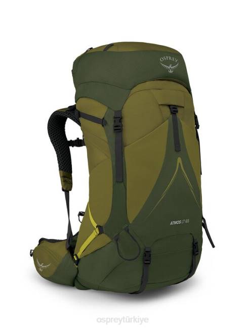 erkekler doğal vadi yeşil biber Osprey atmos ag lt 65 sırt çantasıyla seyahat 20VZ2