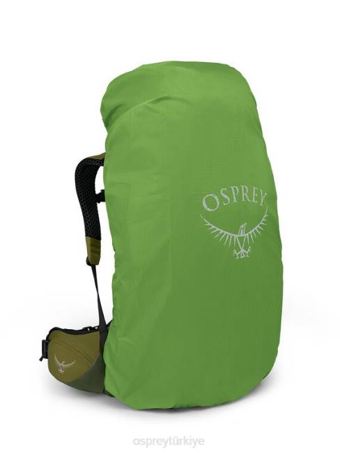 erkekler doğal vadi yeşil biber Osprey atmos ag lt 65 sırt çantasıyla seyahat 20VZ2