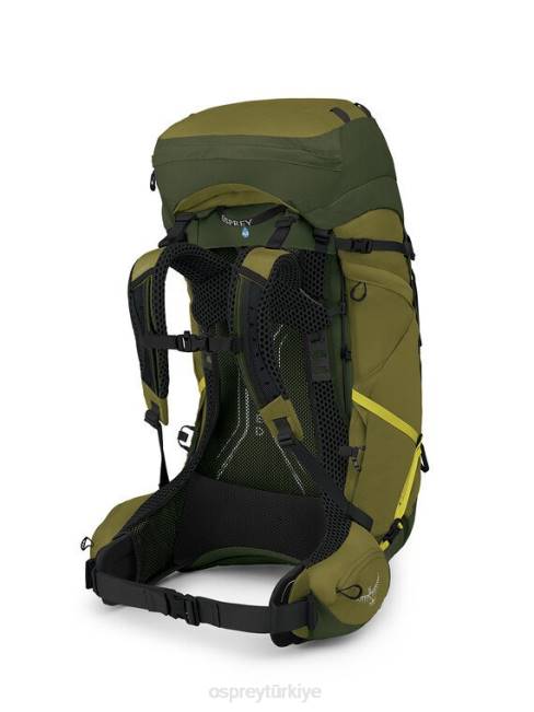 erkekler doğal vadi yeşil biber Osprey atmos ag lt 65 sırt çantasıyla seyahat 20VZ2