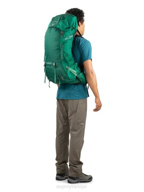 erkekler yeşilbaş yeşili Osprey kale 50 sırt çantasıyla seyahat 20VZ96
