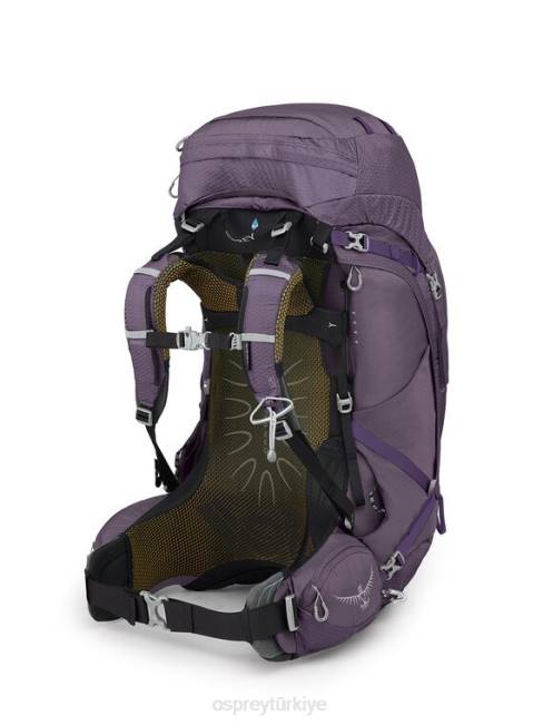 kadınlar büyü mor Osprey aura ag 65 sırt çantasıyla seyahat 20VZ21