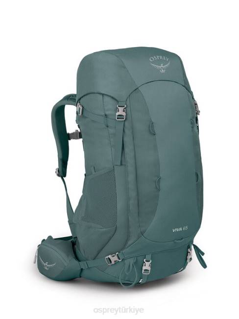 kadınlar etli yeşil Osprey viva 65 sırt çantasıyla seyahat 20VZ46