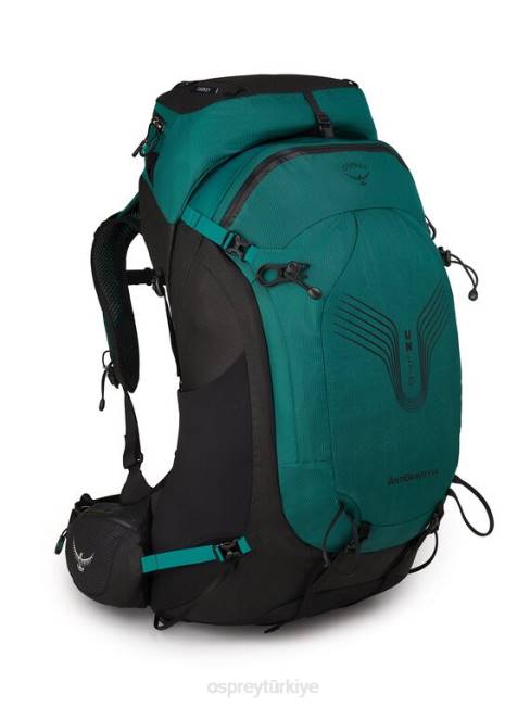 kadınlar hostas yeşil Osprey unltd antigravity 64 sırt çantasıyla seyahat 20VZ50