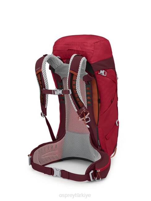 üniseks Atatürk çiçeği kırmızısı Osprey stratos 44 sırt çantasıyla seyahat 20VZ279