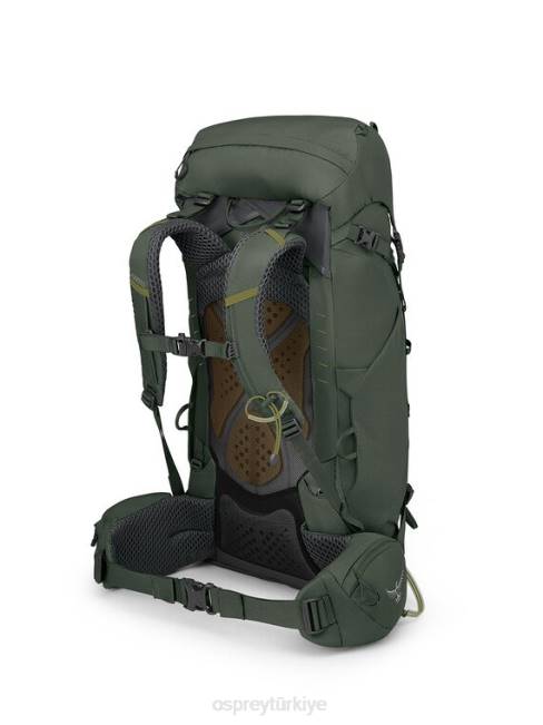 üniseks bonsai yeşili Osprey kerkenez 38 sırt çantasıyla seyahat 20VZ224