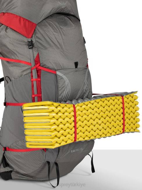 üniseks dale grisi Atatürk çiçeği kırmızısı Osprey eja pro 55 sırt çantasıyla seyahat 20VZ33