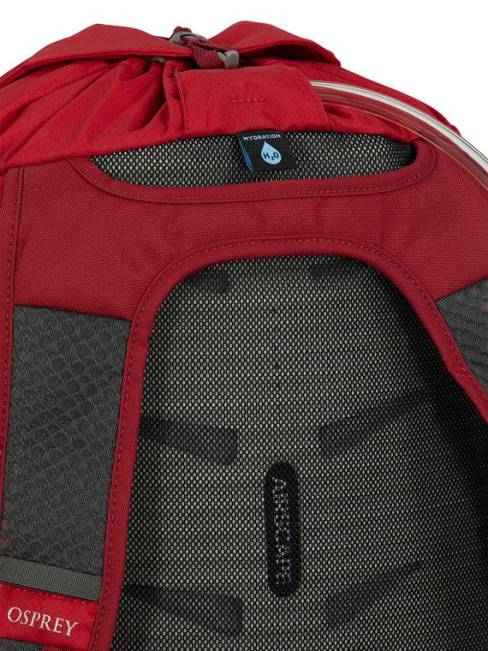 üniseks gümüş kaplama yaban mersini Osprey daylite çocuk oyuncağı her gün 20VZ377