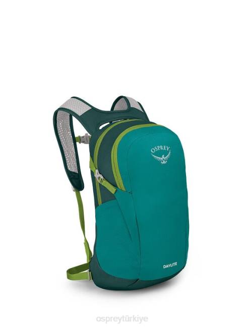 üniseks kaçış yeşili baykal yeşili Osprey gün ışığı her gün 20VZ371